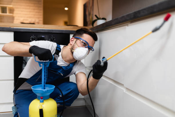 Best Residential Pest Control  in Glenwood Landing, NY