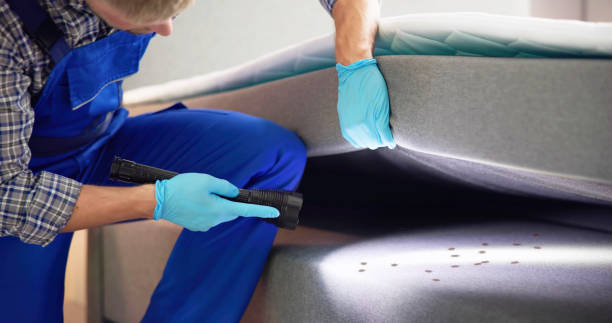 Best Wasp Removal Services  in Glenwood Landing, NY