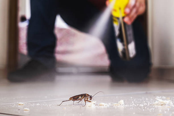 Wildlife Control Services in Glenwood Landing, NY
