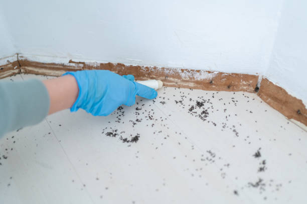 Best Commercial Pest Control Services  in Glenwood Landing, NY