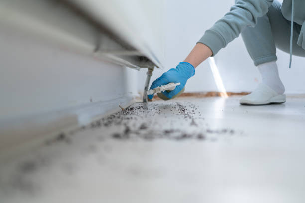 Best Termite Control Services  in Glenwood Landing, NY