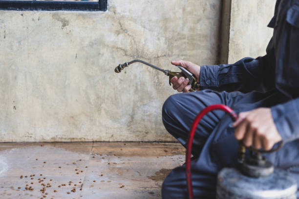 Best Termite Control Services  in Glenwood Landing, NY