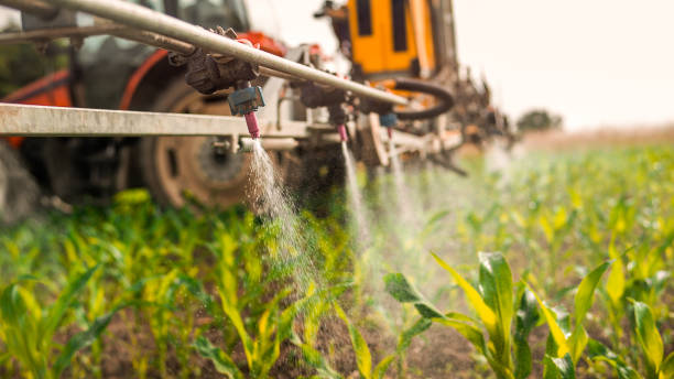 Best Ant Control Services  in Glenwood Landing, NY